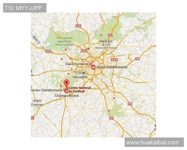 维特足球明星全景盘点及其辉煌成就解析